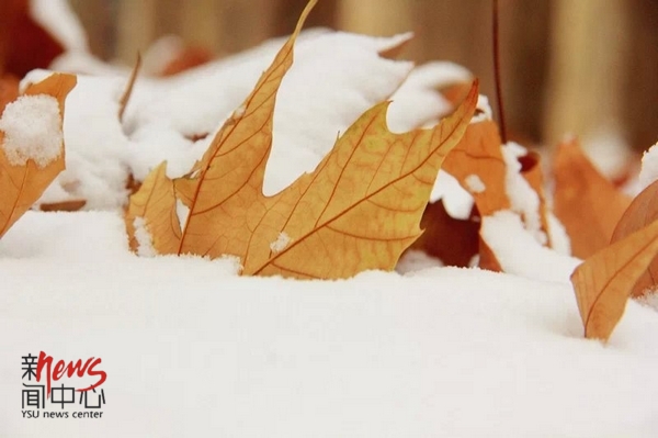 初冬•初雪（组图）